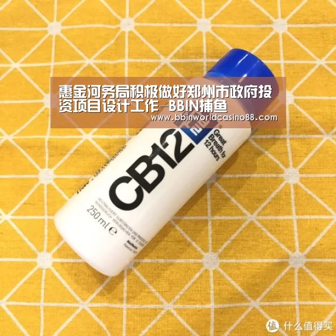 惠金河务局积极做好郑州市政府投资项目设计工作-BBIN捕鱼(图1) BBIN百家乐
