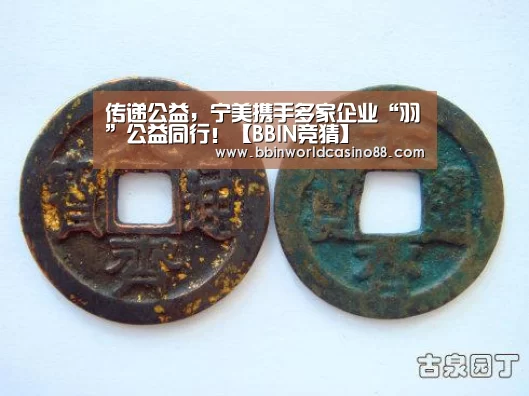 传递公益,宁美携手多家企业“羽”公益同行!【BBIN竞猜】(图1) BBIN入口