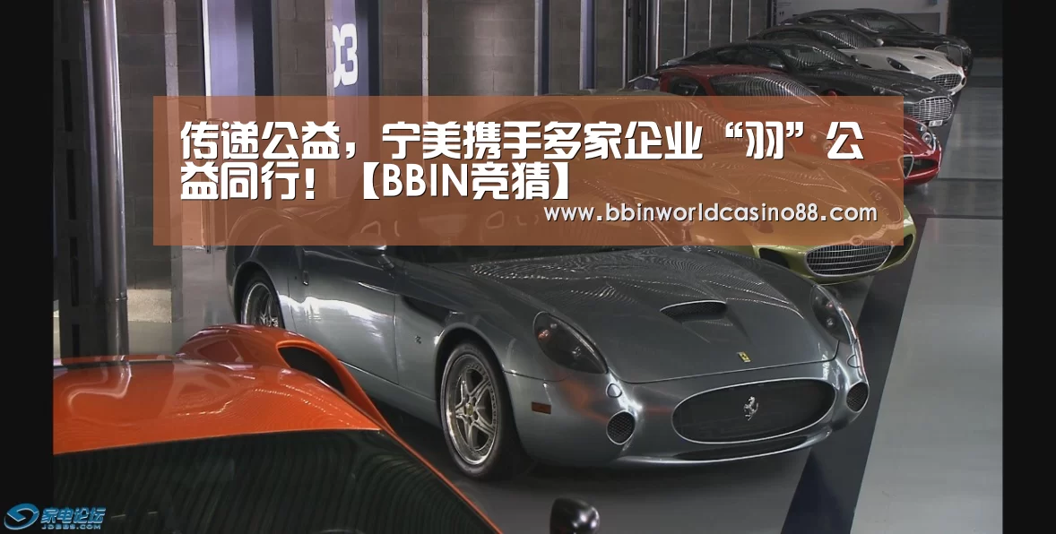 传递公益,宁美携手多家企业“羽”公益同行!【BBIN竞猜】(图2) BBIN百家乐