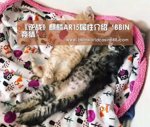 《逆战》麒麟AR15属性介绍‘BBIN竞猜’(图1) BBIN百家乐