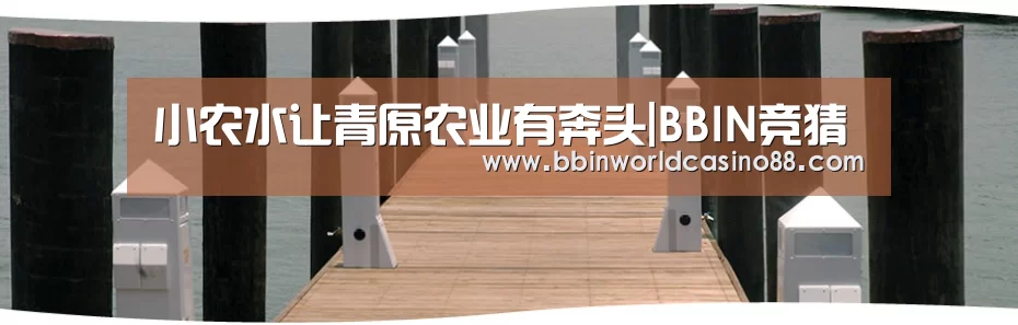 小农水让青原农业有奔头|BBIN竞猜(图1) BBIN百家乐